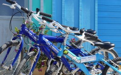vélos enfants à la location cycles demion oléron